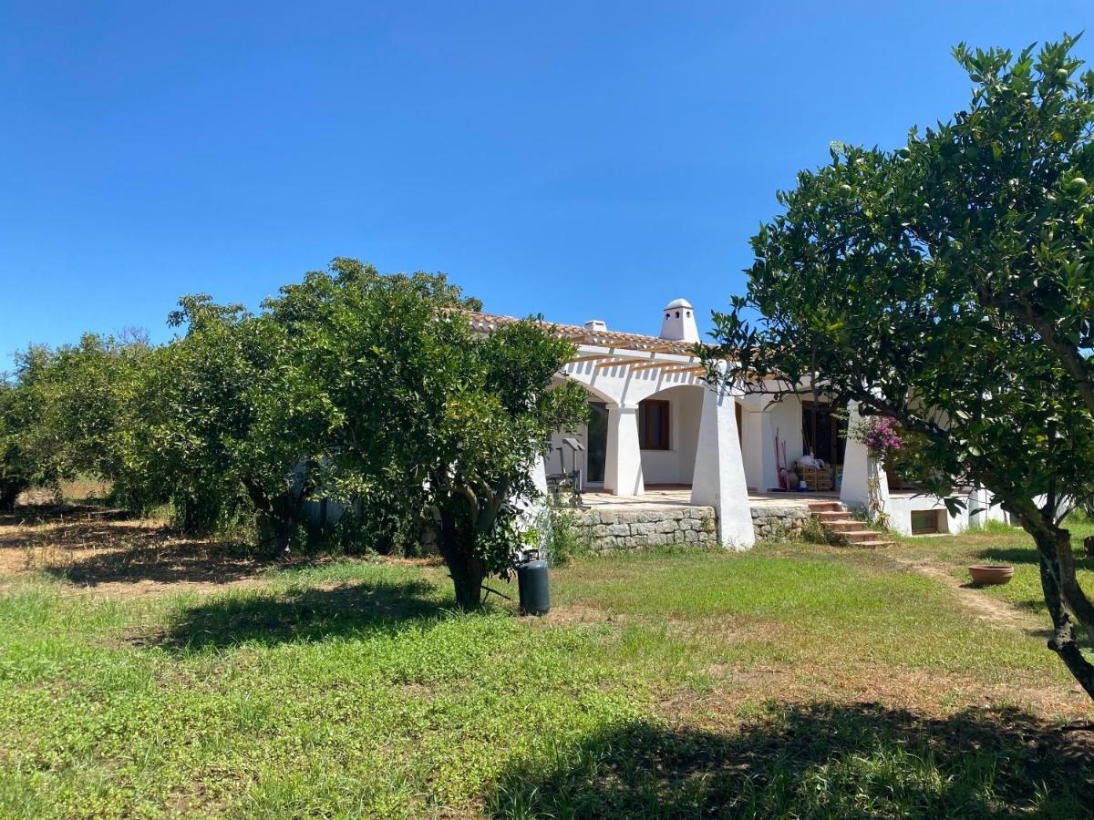 Tziu Mariucciu Villa Tortolì